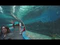 2024 Complete Tour of MANILA OCEAN PARK | The First Oceanarium in the Philippines! | Walking Tour