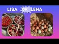 Lisa or Lena (Healthy lifestyle Edition) 🌸🌷 #lisa #lisaorlena #healthylifestyle