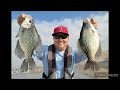 Lake Success winter season crappie fishing 12/23/2023