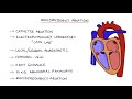 Understanding Supraventricular Tachycardia (SVT)