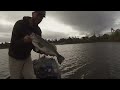 BIG BASS at Local Lake