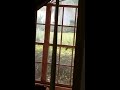 Woodpecker knocking on my windows