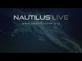 Baleen Whale Fall Becomes a Deep Sea Banquet at Davidson Seamount | Nautilus Live