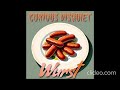 Wurst (German folk rock)