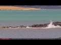 Jul 25, 2024: Wild Dolphins on the North Shore of Oahu, Hawaii in 4K Ultra HD