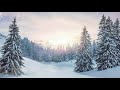 Relaxing guitar sound | Winter snowfall | Meditation | Sound of Winter | Nature | Zen |