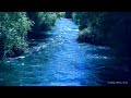 Relaxing River Sounds - birds song - 3 Hours - HD 1080p - Nature Video