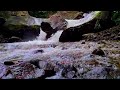 🔴 Beautiful Mountain River Sounds, Relaxing Nature Sounds, Best for Sleep, Study, ASMR | Relaxing