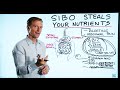 Small Intestinal Bacterial Overgrowth(SIBO) Steals Your Nutrients – Dr.Berg