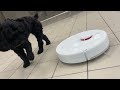 Incredible! What the Xiaomi X10 robot vacuum cleaner is capable of - you won't believe it!