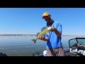 Casting Shallow for Migrating Reservoir Walleyes - Lake Sakakawea