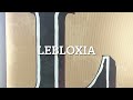 Official trailer of lebloxia (never give up)