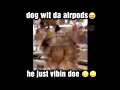 Dog wit da AirPods (Full Version)