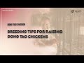 Get to Know the Dong Tao Chicken (a.k.a. Vietnamese Dragon Chicken!)