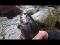 FISHING A FRESHLY STOCKED KEYSTONE SELCT STREAM! (WE CAUGHT 40+ TROUT!) PA DELAYED HARVEST FISHING!