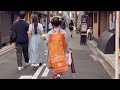 和傘を手に持つ☂️舞妓さん、芸妓さん👘祗園Kyoto