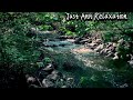 Gentle sounds of a forest river with soothing sounds of birds for sleep,relax,healing,meditation