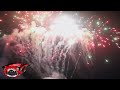 HIGH RISER 42 SHOT - DOMINATOR FIREWORKS - DMP588