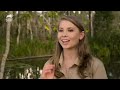 Robert Irwin Lures Crocodile Into Death Roll | Crikey! It's The Irwins | Animal Planet