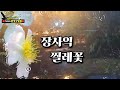 #장사익 - #찔레꽃(가사자막/3번연속듣기)