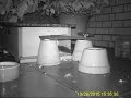 67 Cat squeezing into hedgehog feeding station 29th Oct 2015