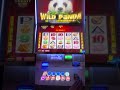 🐼WILD‼️PANDA SLOTS🎰