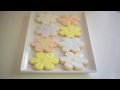 How To: Sugar Cookie Royal Icing