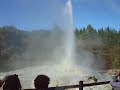 Geyser New Zealand