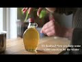 How to make Dandelion Syrup - my Recipe