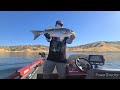 San Luis Reservoir nuv ntses Striper 7-10-2023