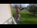 The bird feeder 2020-10-03