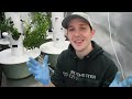 5 Essential Water Tips For Growing Inside