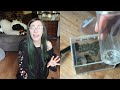 Buying MYSTERY Wolf Spiders from NARBC Expo!
