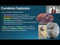 Cambrian Explosion- More like PREcambrian Explosion & Cambrian Skeletonization | GEO GIRL