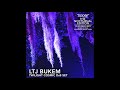 LTJ Bukem - Twilight Cosmic D&B Set @ Tipper & Friends, Spirit Of Suwannee Music Park 19th May 2017