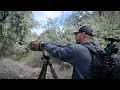 Bird Photography Tips. Everything you need to know in one video. (sort of)