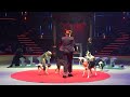 Professor Ermakov Dog Academy. Paris 2024. Dog Show.