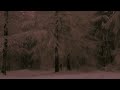 Snowfall - Scott Buckley | snowy forest