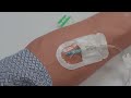 BD Insyte™ Autoguard™ BC Shielded IV Catheter Insertion Techniques