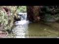 Little waterfalls in Parque Estadual de Ibitipoca - Minas Gerais