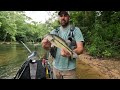 Better Than I Had Imagined!!  (Alabama Creek Fishing)