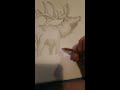 Final Shading of Elk Drawing