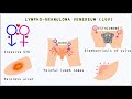 Chlamydia: Morphology, Types, Pathogenesis, Diagnosis, Treatment