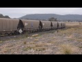 Glencore Coalie : Australian Railways