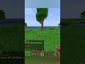 Minecraft 1.19.4 Duplication Glitch (Java Edition)