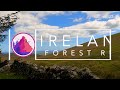 Virtual Running videos for treadmill 4K | Virtual forest run | Virtual jogging scenery 4K | Ireland