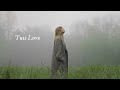 Taylor Swift Playlist | calm songs + minimal rain // songs to study, relax, work and sleep