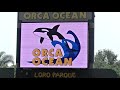 Splash Warning - Oct 14 2017 - Loro Parque Tenerife Spain