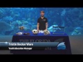 Florida Aquarium's 'Tanks to the Ocean' Series Episode: Sea Turtles - The Shark Brothers