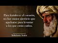 Refranes y refranes árabes muy sabios | Sabiduría árabe.